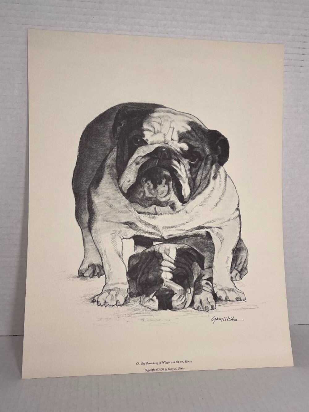 Dog Print of Charcoal Drawing by Gary H Kokes 1963
